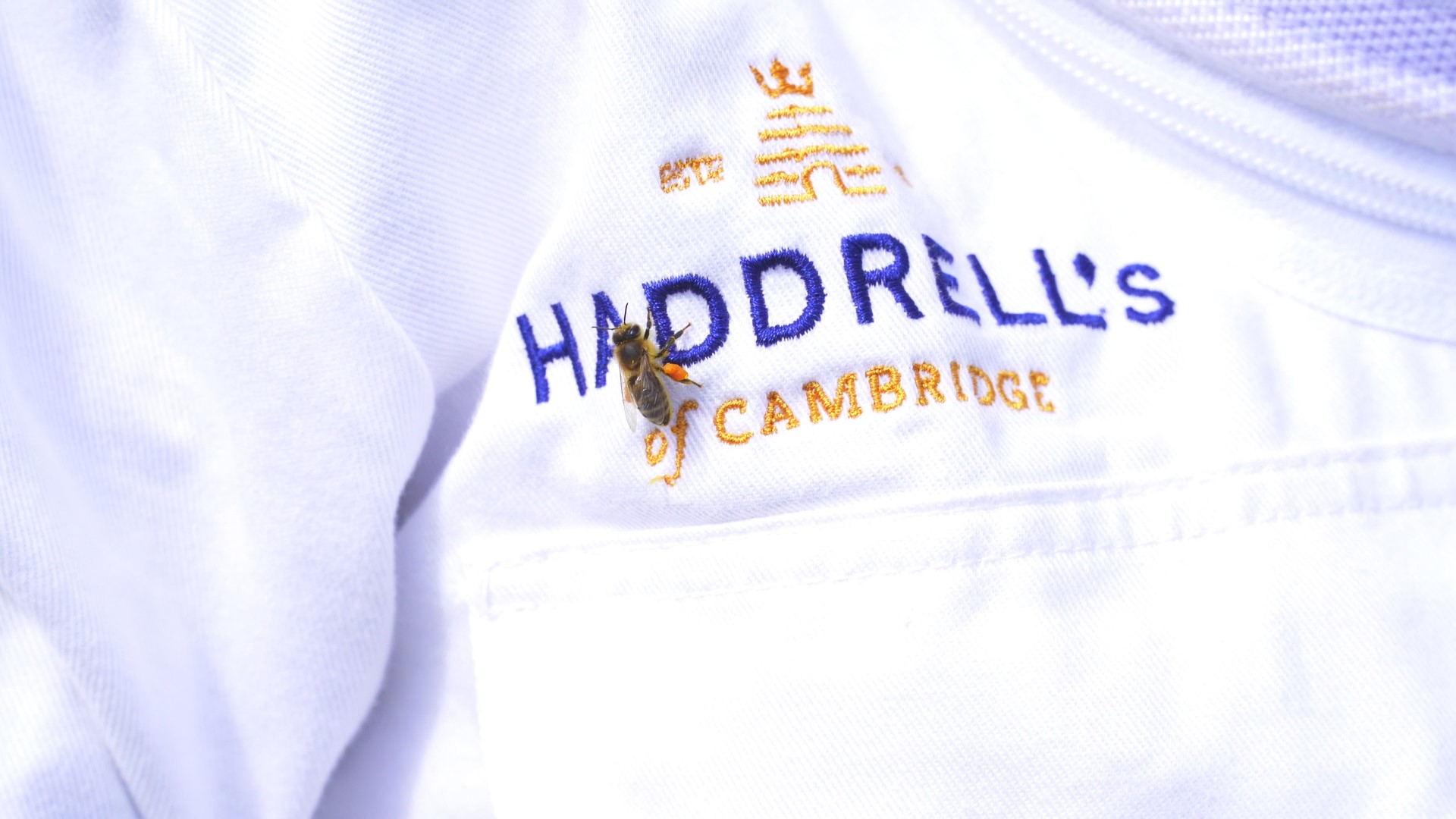 Haddrell's logo